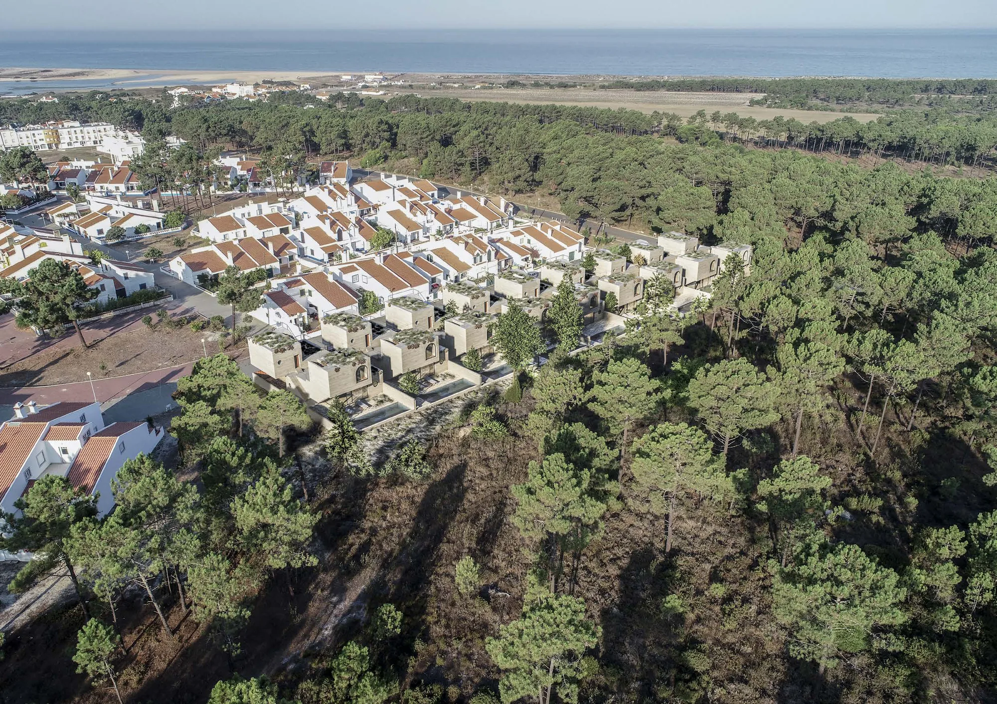 Aerial view of the villa row against the pine forest