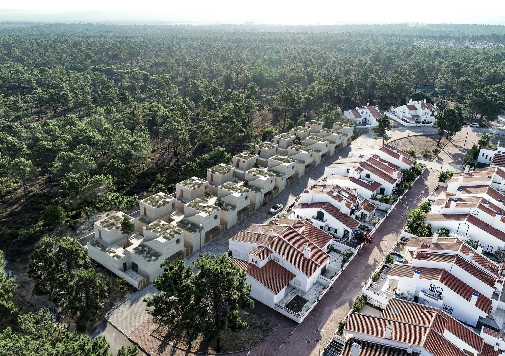 Aerial view of the nine Pine Tree Villas in a row, pine forest behind them and the Atlantic on the horizon